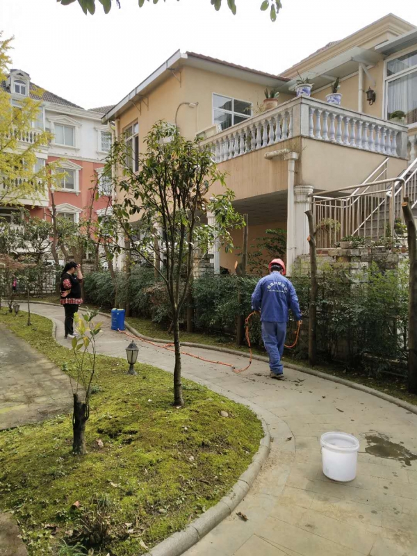 遂寧房屋白蟻防治