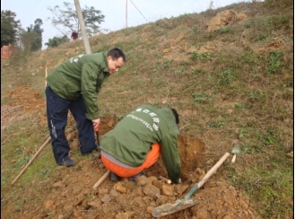 眉山水庫類白蟻防治操作